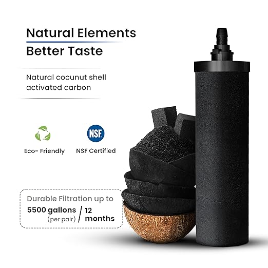 1.5 Gallons NSF Certified AISI 304 Stainless Steel Water Filter with 2 Smart Carbon (Black) Filters, 2 POSTreat Steel Fluoride Removal Elements, Free Steel Stand & Water Spigot