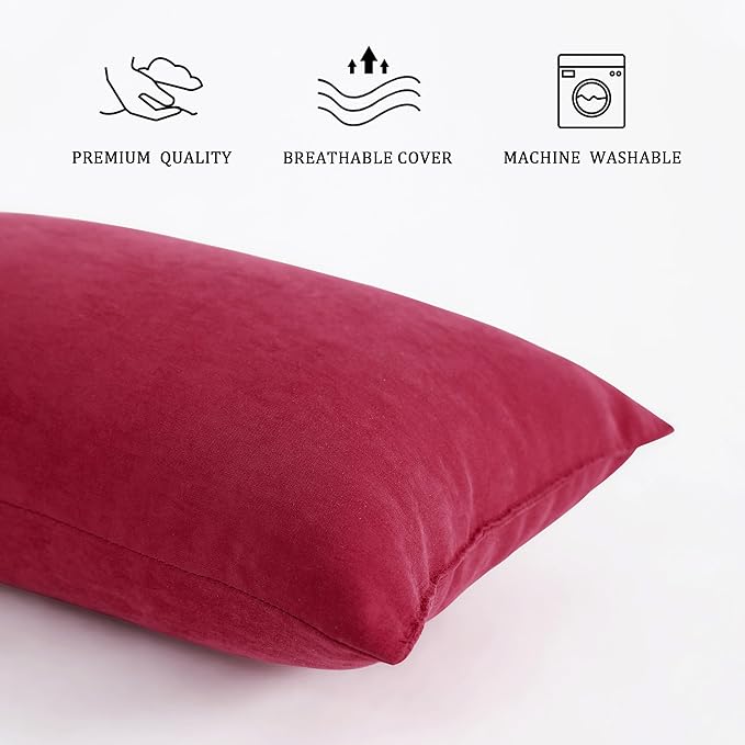 BEDSUM 2 Pack Microfiber Pillows, 13"x18" for Travel, Pets, Soft and Machine Washable, Small for Neck, Wrist, and Knee Comfort, Red