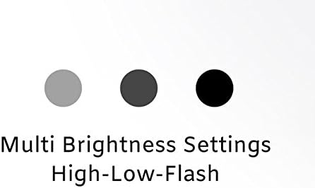 Bright Eyes 200 Lumen Firefly 2-Pack Clip On LED Safety Running and Jogging Light - USB Rechargeable - 2 Pack - Also for Hiking, Camping, Working and Much More!! (Deep Gray)