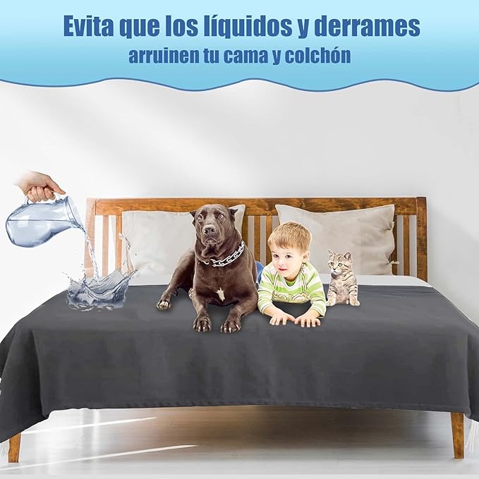 Waterproof Blanket for Bed, Spill-Proof, Stain Proof, Water Proof & Mess-Free Cozy Flannel Splash Blanket (Moon Grey & Starlit Grey, 60x80