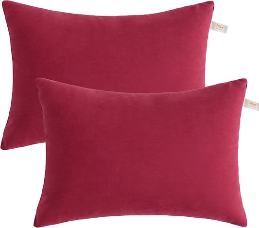 BEDSUM 2 Pack Microfiber Pillows, 13"x18" for Travel, Pets, Soft and Machine Washable, Small for Neck, Wrist, and Knee Comfort, Red